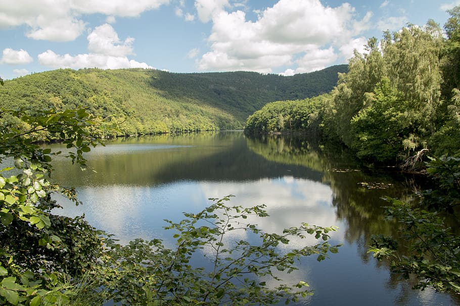 calma, aigües, envoltat, verd, fulles, fulles verdes, llac, bosc, eifel, Alemanya, Parc Nacional, senderisme, ruta, lluny, arbres, estiu, naturalesa, primavera, turó, idíl·lic, inquietant, aigua, Conte de fades, místic, reflexió, cel, arbre, escenics - natura, bellesa a la natura, tranquil·litat, planta, núvol - cel, escena tranquil·la, escena no urbana, color verd, dia, cap gent, creixement, a l'aire lliure, 5K