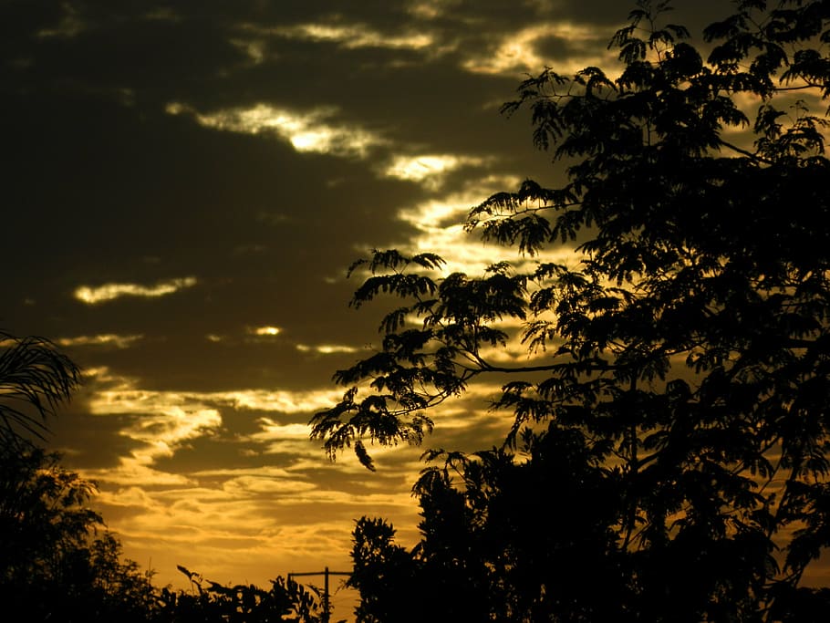 sera, tramonto, backcountry, nuvole, ramo, raggi di sole, natura, contro la luce, raggi, crepuscolo, orizzonte, paesaggio, cielo, albero, silhouette, estate, all'aperto, bellezza nella natura, nuvola - cielo, pianta, la tranquillità, scenics - natura, crescita, scena tranquilla, nessuno, Inquadratura dal basso, idilliaco, cielo drammatico, scena non urbana, luce del sole, 4K