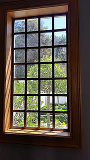 verde, hojeado, arboles, ventana, vista de la ventana, vista al jardín, ligero, adentro, nadie, día, interior de la casa, arquitectura, de cerca, material de vidrio, transparente, árbol, planta, naturaleza, forma geometrica, estructura construida, edificio, crecimiento, casa, forma, color verde, luz del sol, marco de la ventana, vaso, 2K
