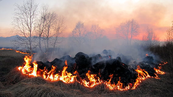 api, Koster, pembakaran, batubara, percikan, merokok, kayu bakar, demam, Abu, semburan api, kabut, bidang, matahari terbenam, pemandangan, api - fenomena alam, suhu panas, asap - struktur fisik, alam, pohon, tanah, lingkungan Hidup, menanam, hutan, di luar rumah, tidak ada orang, warna oranye, langit, api unggun, isu yang berkaitan dengan lingkungan, senja, polusi, 1080P, CC0, domain publik, bebas royalti