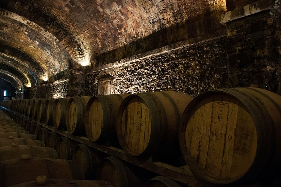 marró, fusta, barrils de cervesa, botti, llums, vi, antic, Toscana, Itàlia, Celler, refresc, barril, beure, elaboració de vins, menjar i beguda, barrica de vi, alcohol, a l'interior, cilindre, en fila, contenidor, material de fusta, cap gent, gran grup d'objectes, indústria, 4K