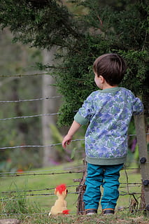 nen, petit, tancar, en solitari, trist, paio, esperant-te, vista del darrere, infància, una persona, roba casual, només nens, longitud completa, dia, persones reals, activitat d'oci, planta, noies, femelles, dones, estils de vida, mascotes, animals domèstics, mamífer, innocència, a l'aire lliure, 5K, CC0, domini públic, lliure de regalies