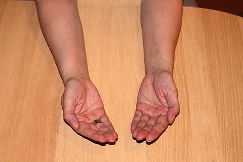 hender, menneskelig, fattige, menneskelig kroppsdel, kroppsdel, hånd, nærbilde, menneskelig hånd, én person, voksen, menneskelig ben, innendørs, lav seksjon, lem, menneskelig lem, barfot, menneskelig hud, menneskelig fot, studio skudd, menn, tre - materiale, 4K, CC0, offentlig domene, opphavsrett gratis