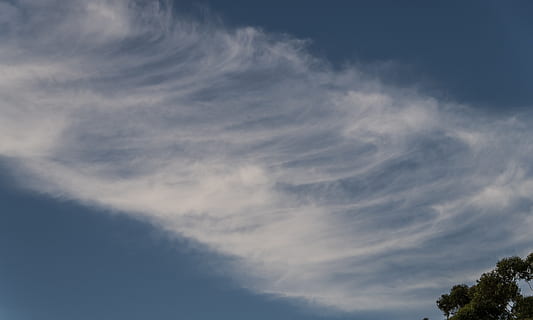 wolken, wit, blauw, pluizig, delicaat, patroon, wervelende, hemel, wolk - lucht, lage hoekweergave, schoonheid in de natuur, scenics - natuur, natuur, geen mensen, boom, kalmte, rustige scène, fabriek, dag, buitenshuis, ruimte, idyllisch, kruin, achtergronden, piekerig, meteorologie, 2K, CC0, publiek domein, royaltyvrij