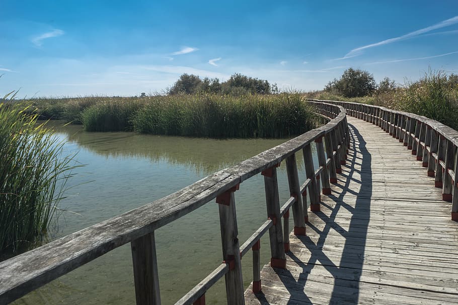 pont de fusta gris, passarel·la, Camí, ombra, felicitat, soledad, parc, naturalesa, segueix, caminar, senderisme, paisatge, verd, tronc, tardor, bosc, arbre, rural, rústic, històric, pont, Laguna, llac, pescar, aigua, espanya, riu, cel, tarda, reflexió, embassament, amarrar, llum, cel blau, ànec, estiu, dia, núvols, calma, sol, horitzó, posta de sol, pantalla de fons, posta de sol de platja, a l'aire lliure, pont - estructura feta per l'home, material de fusta, passeig marítim, planta, barana, tranquil·litat, escena tranquil·la, cap gent, bellesa a la natura, escenics - natura, el camí a seguir, llum solar, direcció, sendera, núvol - cel, perspectiva decreixent, fusta, panells de fusta, 5K