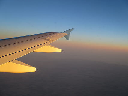 hvidflyvning, fly, vinge, himmel, flyvningen, luft, transportmidler, rejse, Jet, luftfart, passagerfly, flyve, flyselskab, hastighed, horisont, flyvende, luftfartøj, flyvinger, transportform, solnedgang, ingen mennesker, natur, Midt i luften, bevægelse, på farten, skønhed i naturen, luftfoto, scenics - natur, kopiere plads, sollys, udendørs, luftfartsindustrien, 4K, CC0, offentligt domæne, royaltyfrie