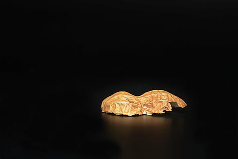 peanut, peanut shell, nutshell, cut in half, half nutshell, close, black background, copy space, studio shot, no people, indoors, food, food and drink, close-up, still life, sweet food, single object, nature, freshness, cut out, emotion, positive emotion, plant part, leaf, heart shape, 2K, CC0, public domain, royalty free