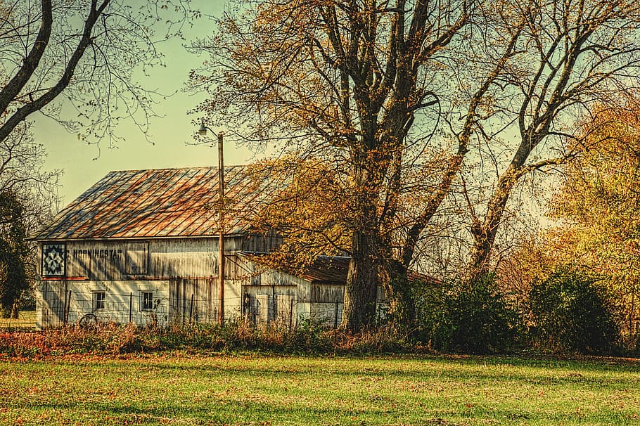 Scheune, rustikal, Scheunen, Ohio, digitale Kunst, ländlich, szenisch, Land, Landschaft, Schuppen, wirft, Bauernhof, Bauernhöfe, Landwirtschaft, landwirtschaftlich, Bauernhaus, champaign, Bezirk, Americana, Foto, fotografieren, Struktur, Strukturen, sturgell, William Sturgell, bill sturgell, historisch, Wohnkultur, Gebäude, Wolken, Himmel, Baum, Bäume, wolkig, Unkraut, Champaign County, Urbana, Pflanze, die Architektur, gebaute Struktur, Gebäudehülle, Haus, Gras, Natur, Feld, kahler Baum, keine Leute, Tag, Ast, Wohngegend, draußen, Dach, Hütte, 5K