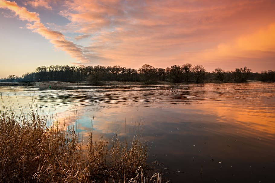 fotografia de lapse de temps, llac, daurat, hores, elbe, sortida del sol, riu, humor, naturalesa, paisatge, canya, morgenstimmung, comunitat Elbeland, llum del matí, aigua, núvol - cel, cel, bellesa a la natura, tranquil·litat, escenics - natura, posta de sol, reflexió, escena tranquil·la, arbre, planta, cap gent, escena no urbana, bosc, medi ambient, idíl·lic, a l'aire lliure, llac de reflexió, 5K