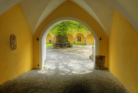 poartă, stilou, mănăstire, trecere, hol, religie, linde, copac, Austria, arc, în interior, arhitectură, galben, construită, nici o persoana, clădire, calea de urmat, direcţie, zi, gol, arcadă, Intrare, natură, cărare, uşă, plantă, montare pe perete, coridor, lumina soarelui, tavan, coloană arhitecturală, arcuit, lung, alee, 2K, CC0, domeniu public, fără drepturi de autor