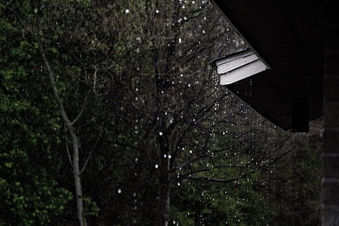 regn, nedkastning, tag, time lapse foto, grøn, blade træer, regn dug, tidsforskydning, Foto, grønt blad, træer, udendørs, nat, ingen mennesker, træ, natur, plante, lav vinkel visning, arkitektur, bygget struktur, vækst, afdeling, dag, bygning udvendig, bygning, skønhed i naturen, fokus på forgrunden, mørk, vindue, sner, 5K, CC0, offentligt domæne, royaltyfrie