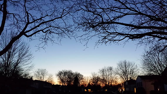 Sonnenuntergang, Einbruch der Dunkelheit, fallen, Baum, Silhouette, Pflanze, Himmel, kahler Baum, Natur, Ast, die Architektur, draußen, Schönheit in der Natur, keine Leute, gebaute Struktur, Gebäudehülle, Dämmerung, Szenen - Natur, Ruhe, Nacht-, Flachwinkelansicht, beleuchtet, 2K, CC0, gemeinfrei, lizenzfrei