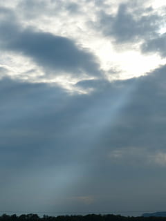 sluneční paprsek, mraky, nebe, průlom, Příroda, krajina, mrak - nebe, krása v přírodě, klid, scenics - příroda, nízký úhel pohledu, nikdo, klidné scény, den, venku, idylický, slunečního světla, životní prostředí, strom, dramatická obloha, pozadí, mimoměstské scény, meteorologie, jemný, 4K, CC0, veřejná doména, bez autorských práv