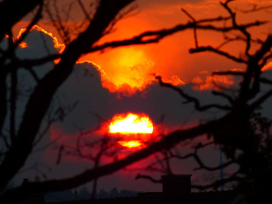 Sunset, Sun, Light, Burn, Glow, sky, silhouette, back light, tree, trees, clouds, orange, red, heat - temperature, burning, no people, night, flame, fire, fire - natural phenomenon, orange color, nature, branch, plant, bare tree, glowing, bonfire, outdoors, accidents and disasters, campfire, 4K