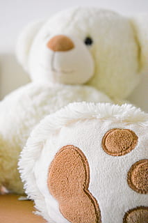 white, brown, bear, plush, toy, selective, photo, close-up, cuddle, cute, stuffed toy, teddy, teddy bear, indoors, no people, still life, selective focus, focus on foreground, white color, representation, food and drink, animal representation, food, baked, softness, cookie, table, high angle view, 5K