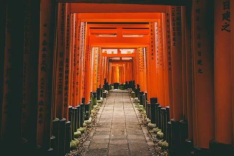 grå, beton, pathway, orange, vægge, fushimi inari-taisha, Port, struktur, sti, Kyoto, japan, skygge, sol, lys, zen, rød, ramme, traditionel, fushimi inari, Fushimi, japansk, rejse, mount inari, Kansai, torii gate, religion, tro, retning, bygget struktur, arkitektur, spiritualitet, vejen frem, sted for tilbedelse, arkitektoniske kolonne, rejsemål, orange farve, bygning, faldende perspektiv, i en række, turisme, helligdom, ingen mennesker, udendørs, gamle civilisation, lang, 5K, CC0, offentligt domæne, royaltyfrie