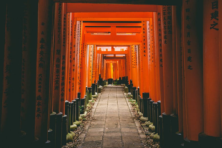 gris, concret, taronja, parets, fushimi inari-taisha, porta, estructura, Camí, kyoto, Japó, ombra, sol, llum, zen, vermell, marc, tradicional, fushimi inari, fushimi, japonès, viatjar, muntar inari, kansai, torii gate, religió, creença, direcció, estructura construïda, arquitectura, espiritualitat, el camí a seguir, lloc de culte, columna arquitectònica, destinacions de viatge, color taronja, edifici, perspectiva decreixent, en fila, turisme, santuari, cap gent, a l'aire lliure, civilització antiga, llarg, 5K