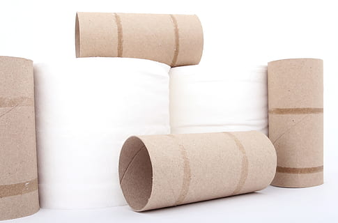 toilet paper, rolls, white, surface, basic, bathroom, bog, bottom, bowel, bum, butt, clean, cleanup, crapper, delicate, empty, facilities, gentle, health, healthcare, home, humor, humour, hygiene, hygienic, moments, paper, peace, peaceful, problem, relax, relaxation, rest, roll, sanitary, sanitation, sheet, situation, smooth, soft, soothing, stress, tissue, toilet, trouble, useful, wall, washroom, wipe, rolled Up, material, white background, indoors, studio shot, still life, no people, white color, group of objects, cut out, close-up, shape, copy space, stack, container, brown, wood - material, geometric shape, 2K, CC0, public domain, royalty free