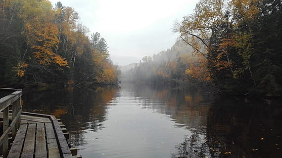 parkere, Canada, afspejling, efterår, natur, Skov, Québec, træer, landskab, Nationalpark, vand, flod, hvile, himmel, vandløb, træ, baseret, plante, ro, quebec landskab, tåge, skønhed i naturen, rolig scene, ingen mennesker, scenics - natur, dag, lave om, havnefronten, ikke-urbane scene, sø, udendørs, 1080P, CC0, offentligt domæne, royaltyfrie