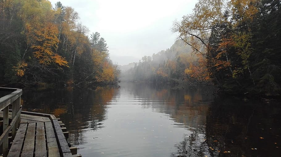 parc, Canadà, reflexió, caure, naturalesa, bosc, québec, arbres, paisatge, Parc Nacional, aigua, riu, descans, cel, cursos d'aigua, fusta, basat, planta, tranquil·litat, paisatge del Quebec, boira, arbre, bellesa a la natura, escena tranquil·la, cap gent, escenics - natura, dia, tardor, canvi, davant del mar, escena no urbana, llac, a l'aire lliure, 1080P