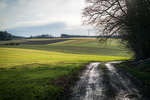 des champs, chemin forestier, une façon, strommast, arable, Piste, randonnée, promenade, l'automne, hiver, voie, la nature, arbre, scène rurale, herbe, en plein air, paysage, Prairie, champ, été, couleur verte, agriculture, plante, environnement, scène tranquille, terre, tranquillité, paysages - nature, beauté dans la nature, ciel, personne, route, nuage - ciel, croissance, la voie à suivre, direction, longue, 5K, CC0, domaine public, libre de droits