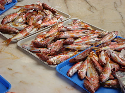 peix, url, menjar, menjar i beguda, frescor, marisc, vista d’angle alt, benestar, cap gent, crustaci, gran grup d'objectes, animal, alimentació saludable, natura morta, taula, dia, a l'interior, gambes - marisc, vertebrats, abundància, primer pla, safata, berenar, 2K, CC0, domini públic, lliure de regalies
