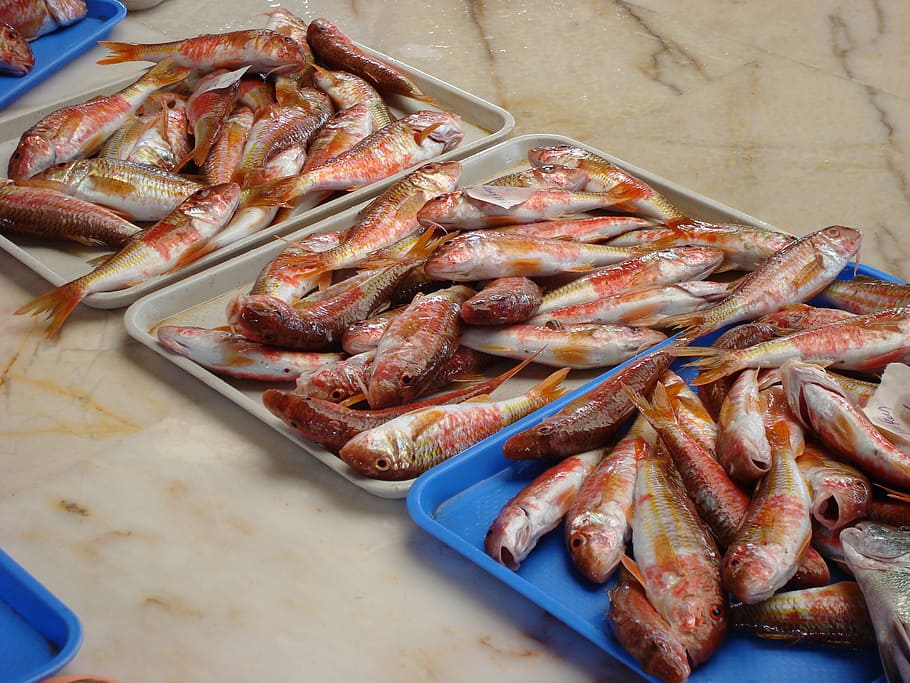 peix, url, menjar, menjar i beguda, frescor, marisc, vista d’angle alt, benestar, cap gent, crustaci, gran grup d'objectes, animal, alimentació saludable, natura morta, taula, dia, a l'interior, gambes - marisc, vertebrats, abundància, primer pla, safata, berenar, 2K