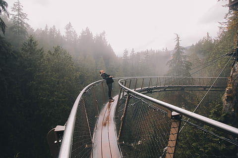 woman, leaning, black, metal, hanging, bridge, black metal, hanging bridge, nature, forest, outdoors, tree, bridge - Man Made Structure, adventure, women, fog, vacations, plant, real people, men, transportation, day, land, railing, connection, safety, one person, leisure activity, architecture, protection, built structure, footbridge, 5K, CC0, public domain, royalty free