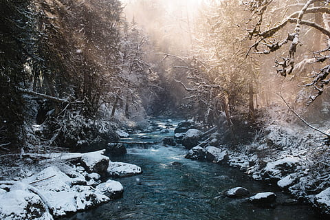flod, snö, fylld, jord, strömmande, strömma, mitten, täckt, skog, solig, dag, vinter-, utomhus, träd, kall temperatur, växt, skönhet i naturen, scenics - natur, landa, natur, miljö, landskap, inget folk, vatten, lugn, lugn plats, icke-urbana scenen, frysta, strömmande vatten, flödande vatten, snöar, 5K, CC0, offentligt domän, royaltyfria