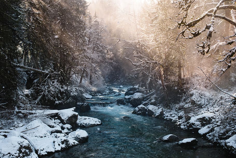 flod, snö, fylld, jord, strömmande, strömma, mitten, täckt, skog, solig, dag, vinter-, utomhus, träd, kall temperatur, växt, skönhet i naturen, scenics - natur, landa, natur, miljö, landskap, inget folk, vatten, lugn, lugn plats, icke-urbana scenen, frysta, strömmande vatten, flödande vatten, snöar, 5K