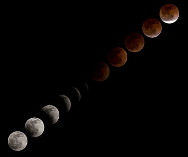 illustration de la lune, Lune de sang, éclipse lunaire, séquence, les phases, ciel, astronomie, télescope, solaire, lune, espace, nuit, pleine lune, personne, phenomene naturel, la nature, faible angle de vue, éclipse, lune planétaire, espace de copie, cercle, beauté dans la nature, surface de la lune, fond noir, ciel clair, Forme géométrique, sphère, composite numérique, clair de lune, 5K, CC0, domaine public, libre de droits
