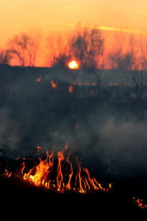brand, rook, zonsondergang, ramp, rood, apocalyptische, verschrikking, brandend, warmte - temperatuur, vlam, Oranje kleur, geen mensen, rook - fysieke structuur, vuur - natuurverschijnsel, natuur, gloeiend, vreugdevuur, milieu, land-, beweging, hemel, buitenshuis, evenement, nacht, veld-, kampvuur, luchtvervuiling, 4K, CC0, publiek domein, royaltyvrij