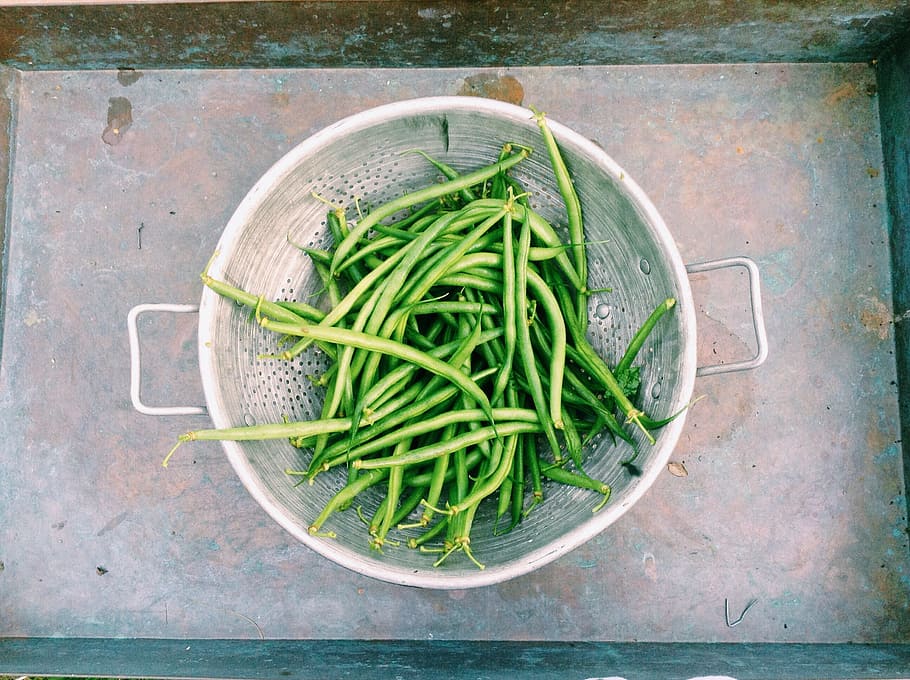 munt, mongetes, colador, mongetes verdes, vegetals, verd, menjar, saludable, fresc, natural, nutrició, vegetarià, produir, orgànic, salut, agricultura, crua, deliciós, tamís, metall, esbandit, verdures, alimentació saludable, benestar, menjar i beguda, color verd, directament a sobre, frescor, natura morta, vista d’angle alt, cap gent, contenidor, a l'interior, taula, bol, aliments crus, material de fusta, dia, arrel vegetal, acer, 2K