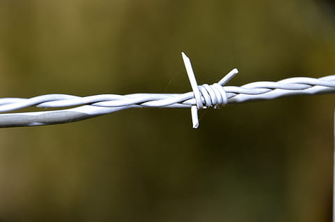 dzeloņstieple, drošību, vads, cietumā, barjera, dzelzs, tuvplāns, saistīts mezgls, savienojumu, aizsardzību, izturība, žogs, nav cilvēku, virves, savīti, metāla, komunikāciju, robežu, sasiets, koncentrēties uz jaunajām zināšanām, brīdinājuma zīme, izslēgšana, tangled, 5K, CC0, publiskais domēns, bez atlīdzības