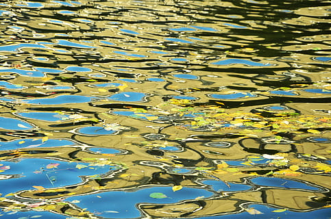 Hintergrund, Muster, Wasser, Spiegeln, Sonnenlicht, Struktur, Wellenmuster, Blätter, Lichteinfall, Vollbild, See, keine Leute, Reflexion, Natur, schwimmend, Tag, auf dem Wasser schwimmen, Blatt, Ufergegend, Hintergründe, High Angle View, draußen, Pflanzenteil, gewellt, grüne Farbe, Schönheit in der Natur, 4K, CC0, gemeinfrei, lizenzfrei