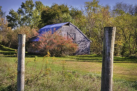 Scheune, rustikal, Scheunen, Ohio, digitale Kunst, ländlich, szenisch, Land, Landschaft, Schuppen, wirft, Bauernhof, Bauernhöfe, Landwirtschaft, landwirtschaftlich, Bauernhaus, champaign, Bezirk, Americana, Foto, fotografieren, Struktur, Strukturen, sturgell, William Sturgell, bill sturgell, historisch, Wohnkultur, Gebäude, Wolken, Himmel, Baum, Bäume, wolkig, Unkraut, Champaign County, Urbana, Pflanze, Gras, Wachstum, Feld, gebaute Struktur, Natur, die Architektur, grüne Farbe, Zaun, Tag, keine Leute, Barriere, Grenze, Ruhe, Holz - Material, Gebäudehülle, draußen, Holzpfosten, 5K, CC0, gemeinfrei, lizenzfrei