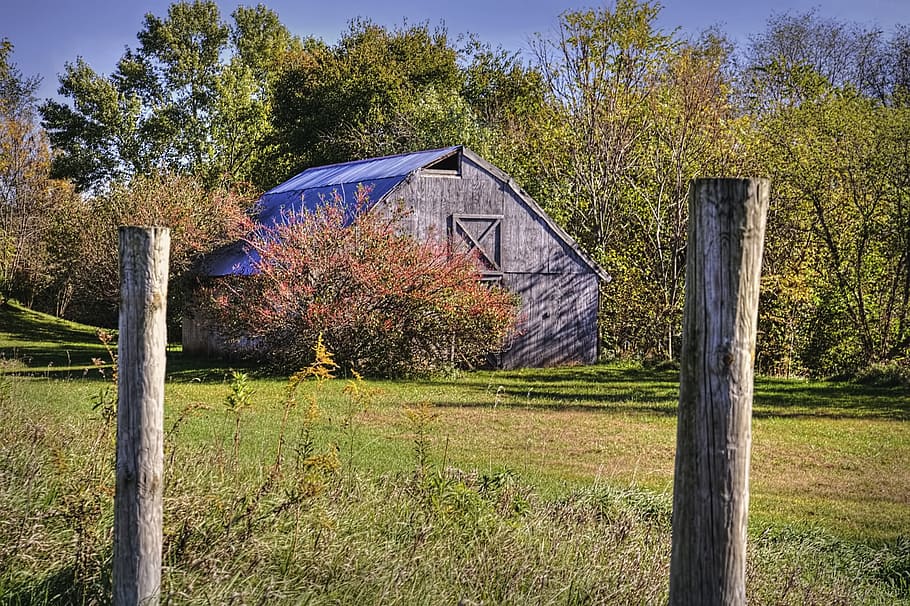 graner, rústic, graners, ohio, art digital, rural, escènic, país, camp, paisatge, cobert, coberts, granja, granges, agricultura, agrícola, Masia, campanar, comtat, americana, foto, fotografia, estructura, estructures, sturgell, William Sturgell, factura sturgell, històric, decoració de la llar, edificis, núvols, cel, arbre, arbres, ennuvolat, cels, males herbes, comtat del campanar, urbana, planta, herba, creixement, terra, estructura construïda, naturalesa, arquitectura, color verd, tanca, dia, cap gent, barrera, límit, tranquil·litat, material de fusta, exterior de l'edifici, a l'aire lliure, post de fusta, 5K