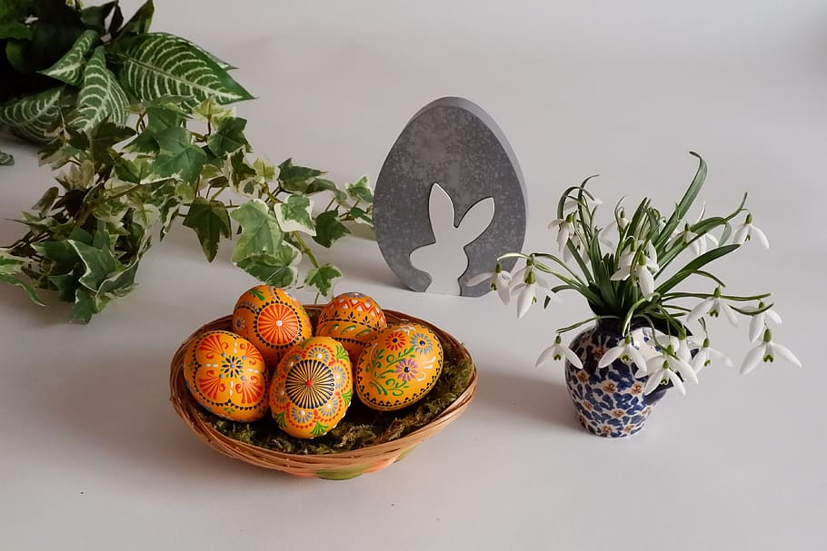 ous de Pasqua grocs, ornament, Pasqua, ou, tancar, cistella, temporada, donar, ous de Pasqua sorbics, tecnologia bossi, ous de pasqua colorits, primavera, pintar ous de Pasqua, ous de colors, ous pintats, costums, decoració de pasqua, decoracions de pasqua, ous de pollastre, Feliç Pasqua, menjar, menjar i beguda, alimentació saludable, a l'interior, natura morta, fruita, frescor, planta, naturalesa, cap gent, benestar, taula, flor, tir de l'estudi, planta amb flors, creixement, celebració, ou de Pasqua, full, planta d'interior, 4K
