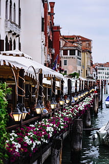 trip, venice, Venice, Italy, vacations, architecture, buildings, old town, Europe, travel, italian, Italy, veneto, venezia, mediterranean, venive, old houses, tourist, canal, venice - Italy, nautical Vessel, urban Scene, famous Place, water, tourism, house, cultures, travel Destinations, street, outdoors, city, old, day, gondola - traditional boat, building exterior, built structure, nature, transportation, building, incidental people, bridge, sky, in a row, mode of transportation, flowering plant, 4K