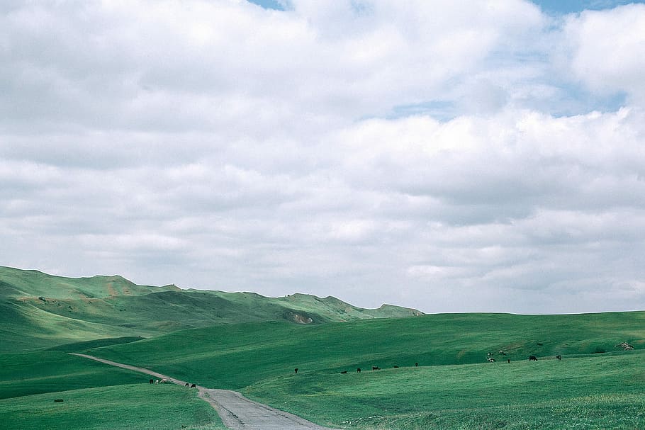 foto, verde, collina, nuvoloso, bianca, cielo, campo d'erba, strada, conduce, montagne, nube, campo, pianura, erba, strada di campagna, campagna, rurale, paesaggio, tempo metereologico, nebbioso, 35 millimetri, scena, ambiente, nuvola - cielo, scenics - natura, colore verde, scena rurale, terra, natura, bellezza nella natura, scena non urbana, montagna, nessuno, pianta, scena tranquilla, viaggio, turismo, all'aperto, primavera, 2K