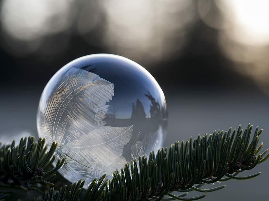 poc profund, focalitzar la fotografia, bombolla, blanc, gafetes temàtiques amb fulles, arbre de Nadal, congelat, bombolla congelada, tirar, fred, hivern, fresc, isopod, patró, onada, celebració, brillant, reflexió, esquitxades, festa, esfera, naturalesa, globus: objecte creat per l'home, negoci global, vidre - material, cap gent, primer pla, negocis, forma, tecnologia, tir de l'estudi, bola de vidre, planeta terra, color verd, color plata, negoci corporatiu, a l'interior, mapa del Món, comunicacions globals, 4K
