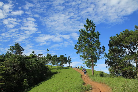 Primavera, Colina, panorama, céu, árvore, plantar, crescimento, cor verde, nuvem - céu, beleza na natureza, natureza, pessoas reais, terra, dia, grama, campo, estilos de vida, atividade de lazer, meio Ambiente, uma pessoa, scenics - natureza, cena não urbana, ao ar livre, 5K, CC0, domínio público, royalty free