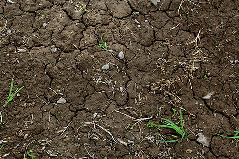 green, grass, dry, brown, soil, arid, barren, cracks, ground, land, plants, rocks, stones, field, nature, day, high angle view, growth, no people, dirt, plant, plant part, outdoors, full frame, mud, leaf, environment, solid, backgrounds, rock, cracked, arid climate, climate, 5K, CC0, public domain, royalty free