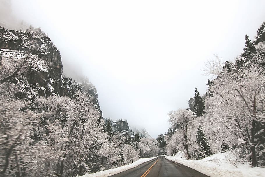 fotografia di paesaggio, strada, mezzo, montagne, alberi, la neve, coperto, lato, inverno, albero, freddo, brina, ze, ghiacciato, gennaio, roccia, nebbia, movimento, strada dritta, collina, morbido, temperatura fredda, pianta, mezzi di trasporto, natura, bellezza nella natura, cielo, scenics - natura, nessuno, la strada davanti, scena non urbana, la tranquillità, direzione, foresta, giorno, terra, all'aperto, albero di conifere, Pino, bosco di pini, nevicando, 5K