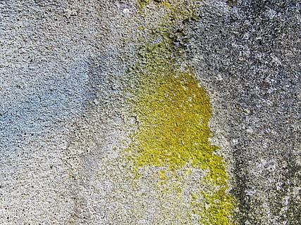 paret de formigó, fons, estructura, textura, brut, resistent, esquerdes, taques, irregular, pàtina, molsa, algues, grunge, vell, esquerdat, fràgil, paret, concret, ratllat, envelliment, trencar, groc, dia, cap gent, marc complet, vista d’angle alt, funció de construcció de parets, naturalesa, creixement, a l'aire lliure, planta, patró, estructura construïda, aspre, color verd, primer pla, directament a sobre, herba, 2K, CC0, domini públic, lliure de regalies
