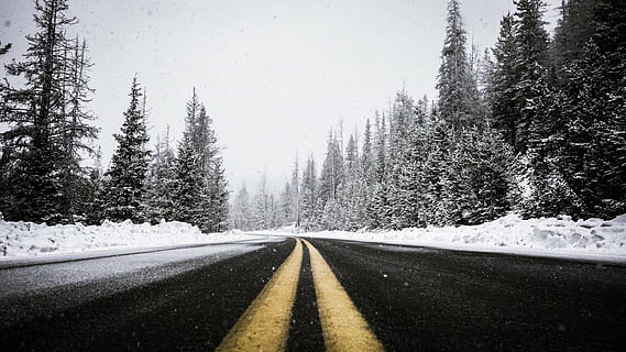 road, towards, trees, snow day, black, roadway, beside, pine, tree, path, plants, nature, travel, sky, snow, winter, cold temperature, the way forward, no people, transportation, forest, outdoors, plant, road marking, symbol, marking, scenics - nature, direction, sign, diminishing perspective, beauty in nature, coniferous tree, snowing, pine tree, pine woodland, dividing line, 5K, CC0, public domain, royalty free