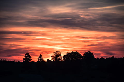 naturalesa, cel, núvols, bosc, idíl·lic, escènic, silueta, tranquil, arbres, boscos, núvol - cel, posta de sol, arbre, escena tranquil·la, bellesa a la natura, escenics - natura, tranquil·litat, planta, escena no urbana, cap gent, color taronja, cel dramàtic, paisatge, medi ambient, creixement, a l'aire lliure, cel romàntic, arbre de coníferes, 5K, CC0, domini públic, lliure de regalies