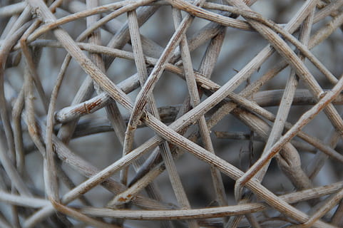 dřevo, poboček, prýmek, lano, dřevo - materiál, detail, nikdo, kov, zaměřit se na popředí, den, vzor, stálý život, rostlina, venku, Příroda, celý rám, složitost, tvar, rezavý, suchý, hnědý, design, pozadí, síla, vysoký úhel pohledu, Spletený, 2K, CC0, veřejná doména, bez autorských práv