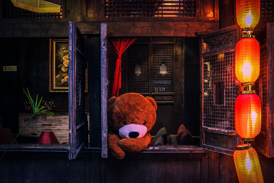 beer, pluche, speelgoed-, venster, foto, levensgroot, bruin, teddy, knuffelbeer, lantaarn, uitkijken, kijkt uit raam, stedelijk, verlichtingsapparatuur, geen mensen, kunst en ambacht, vertegenwoordiging, architectuur, ingebouwde structuur, binnenshuis, verlicht, decoratie, nacht, opknoping, rood, pluche speelgoed, ontspanning, gebouw, dierlijke representatie, ambacht, elektrische lamp, 5K