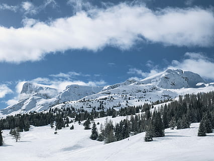 la neve, coperto, montagna, alberi di pino, alberi, circondato, catena montuosa, nube, foresta, albero, blu, bianca, freddo, Holyday, verde, alp, pic de bure, cielo blu, amico, sciare, Superdevoluy, dévoluy, Francia, inverno, temperatura fredda, nuvola - cielo, cielo, bellezza nella natura, scenics - natura, scena tranquilla, pianta, ambiente, la tranquillità, natura, scena non urbana, paesaggio, giorno, Colore bianco, montagna innevata, nessuno, Pino, albero di conifere, 4K, CC0, dominio pubblico, privo di copyright